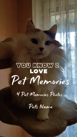 Pet Memories 