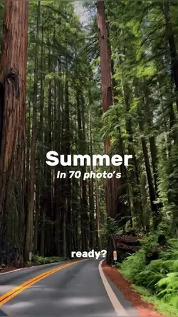 Summer in 70 photo’s