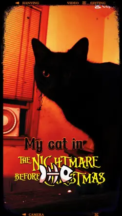 Nightmares 