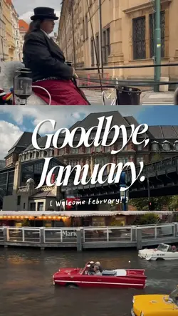 goodbye january