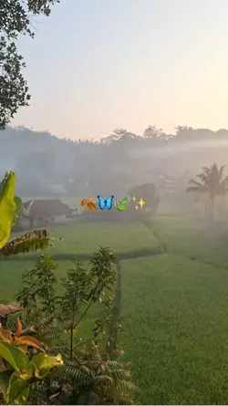 Vibes Pagi || Alam🍃