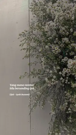 SONG LIRIC