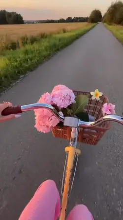 Vlog Aesthetic 