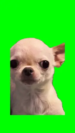 horror dog
