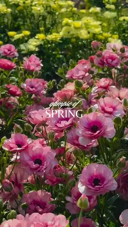 spring in march