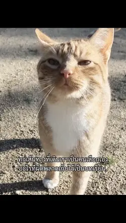 ทุกเส้นทาง