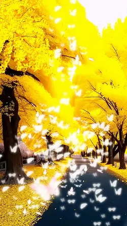 🍁NatuRe🍁
#nature #am