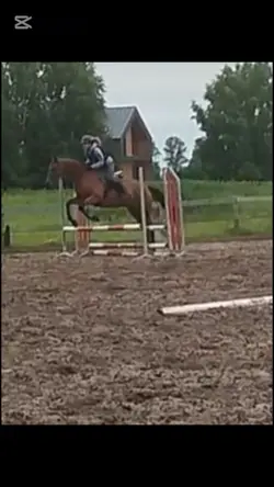 Jowiszekk