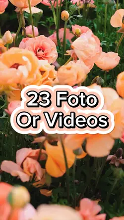 23 video Slides