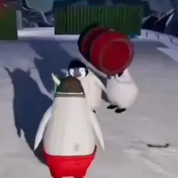 NOOT NOOT