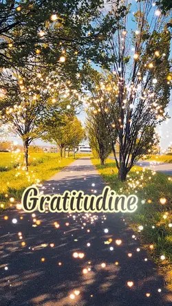 gratitudine 