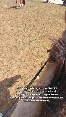 horse therapy