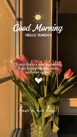 Good Morning 🌸