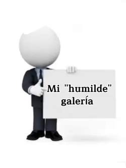 Mi galería 