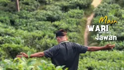 cinematic video