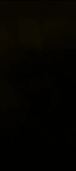 pic template video