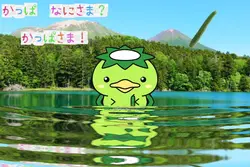 かっぱなにさまかっぱさま🥒
