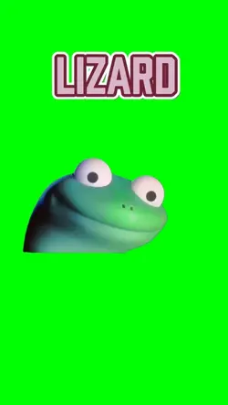 Lizard elio 