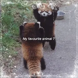 My fav. animal :3