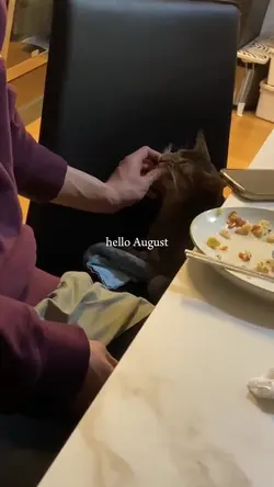 Hello August