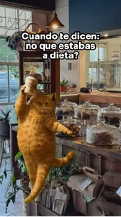 Gato bailando meme