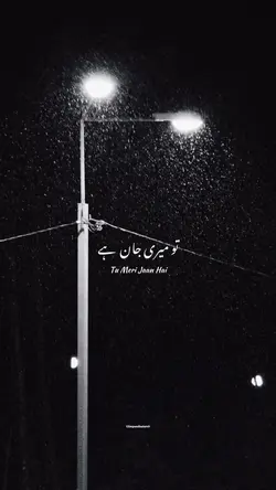 Rula Diya - Zack