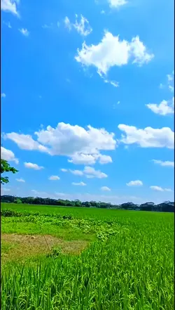 নীল আকাশ