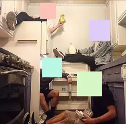 meme friends
