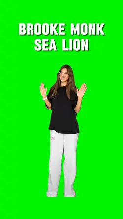 Brooke Sea Lion