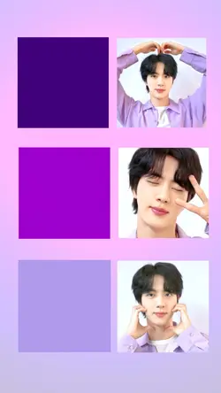 BTS JIN Version