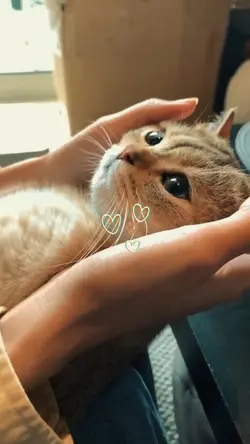 My love