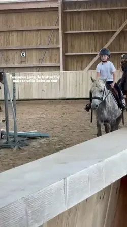 équitation 