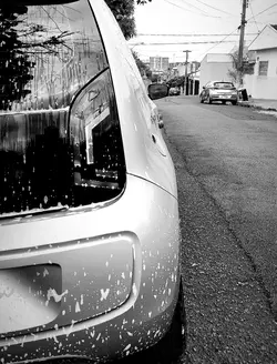 Demo Curta