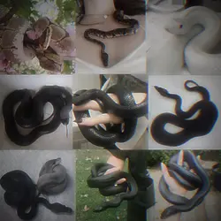 I love snakes𖦹𓆙