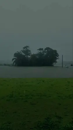 monsoon
