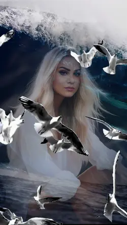 Sea Romantic seagull