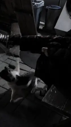 vid dump