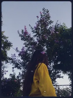 Timi Nabhai Nahuni..