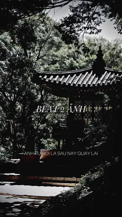 BEAT 2 ẢNH