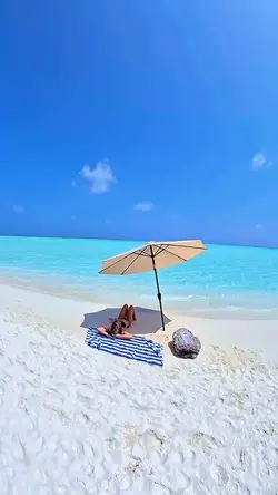 summer beach day 