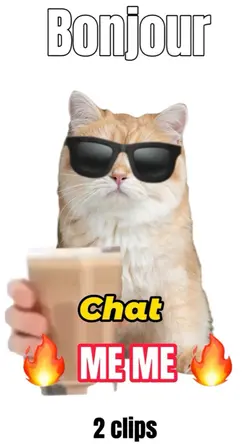 Chat MEME 
