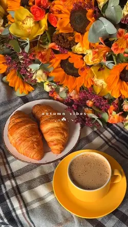 autumn vibes