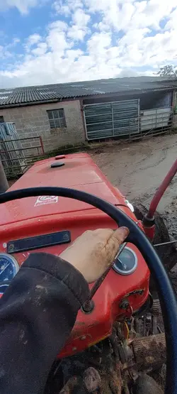 massey ferguson??