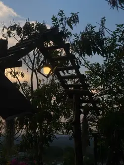 1 ảnh + chỉnh màu