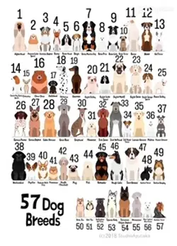 Dog breeds