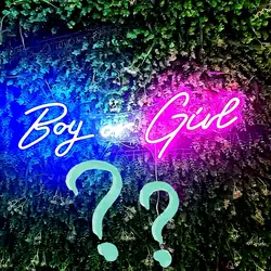 gender reveal
