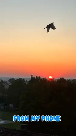 Sunset 🌅 