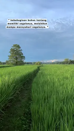 kebahagiaan bukan 
