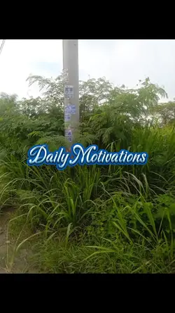 Daily Motivations
