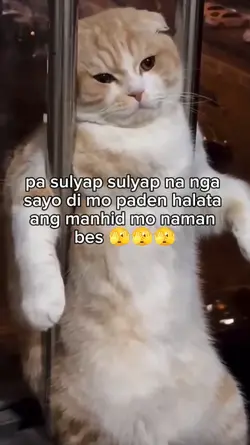 manhid mo naman bes
